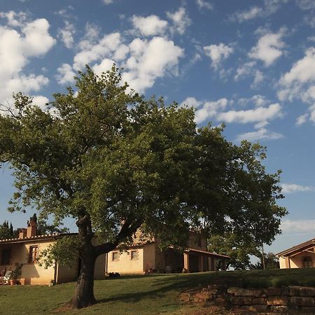 Agriturismo Belvedere Di Pierini E Brugi Campagnatico Екстер'єр фото