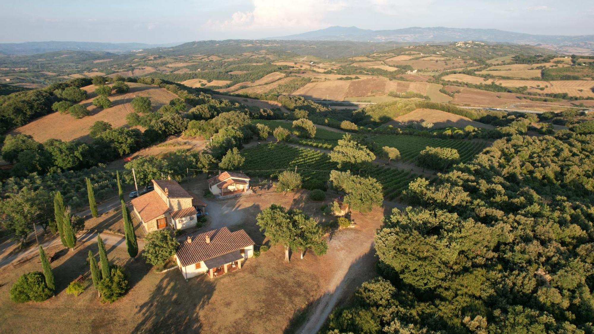 Agriturismo Belvedere Di Pierini E Brugi Campagnatico Екстер'єр фото