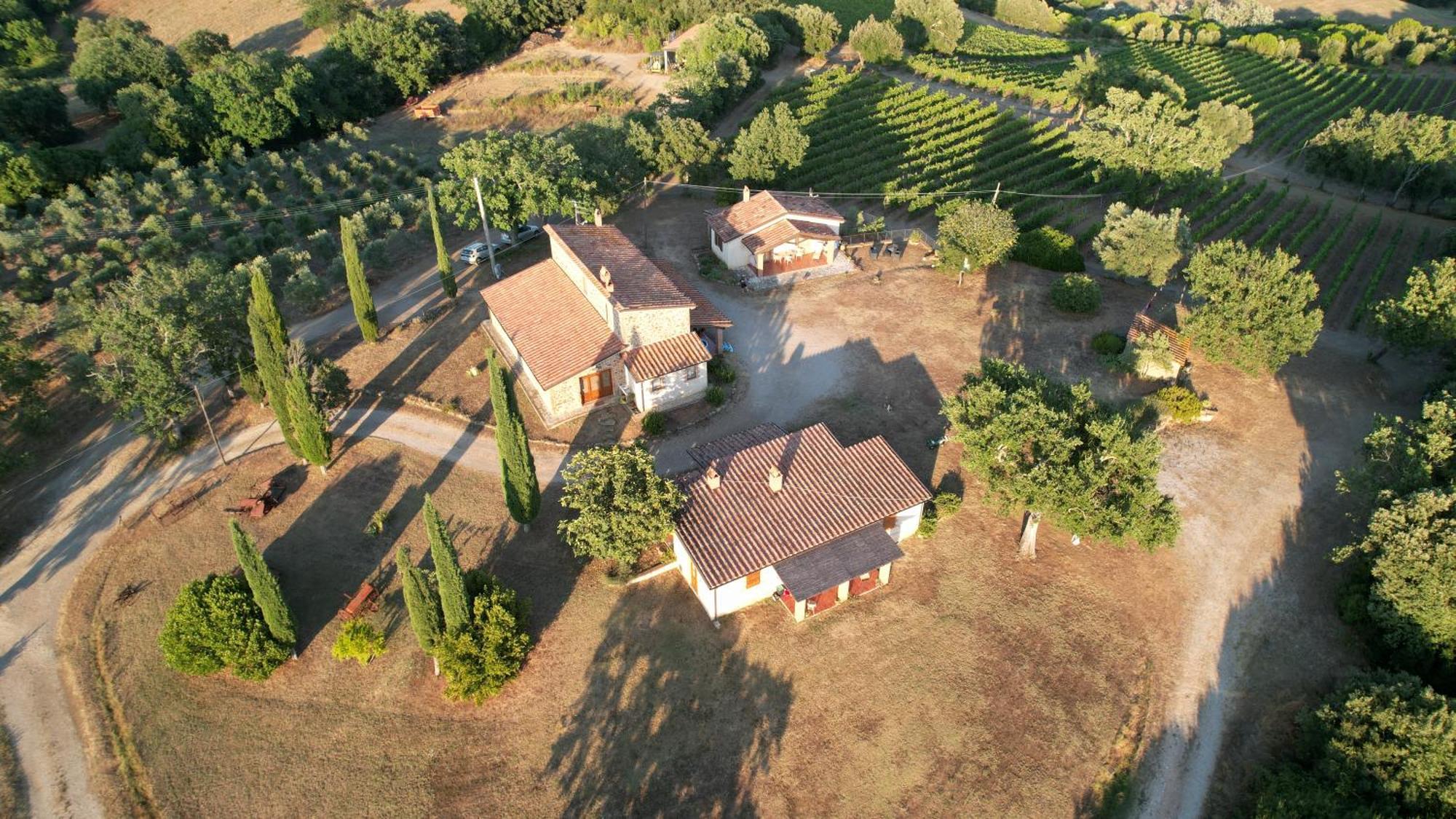 Agriturismo Belvedere Di Pierini E Brugi Campagnatico Екстер'єр фото