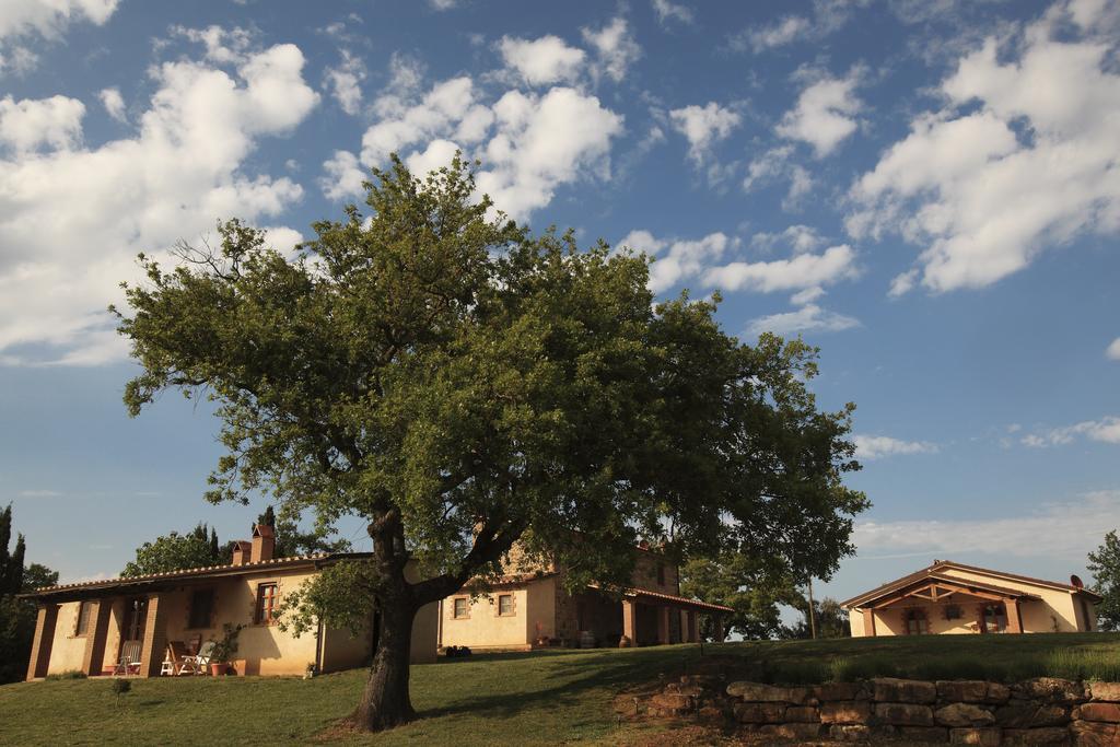 Agriturismo Belvedere Di Pierini E Brugi Campagnatico Екстер'єр фото