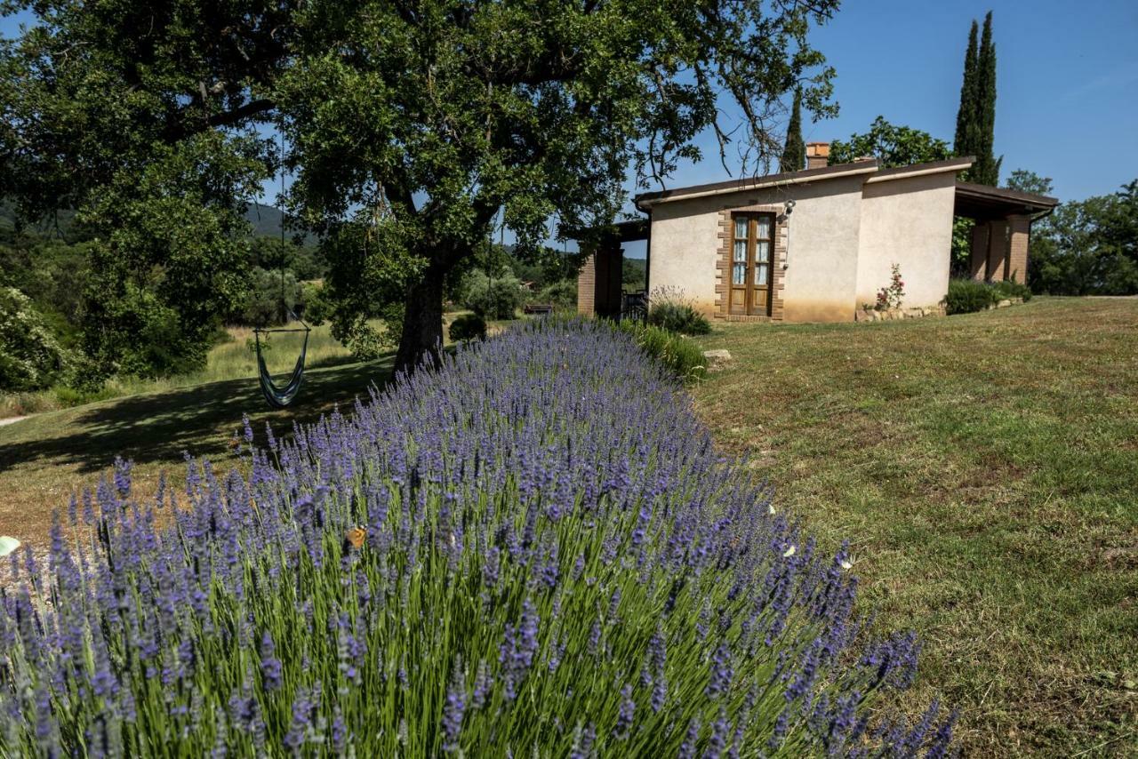 Agriturismo Belvedere Di Pierini E Brugi Campagnatico Екстер'єр фото